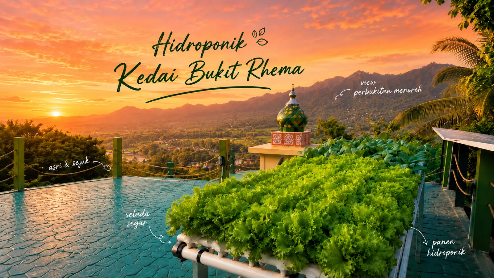 Hidroponik Kedai Bukit Rhema dengan pemandangan perbukitan Menoreh